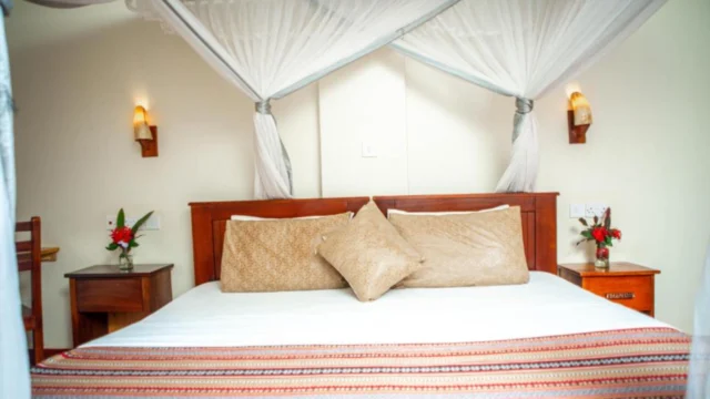 African Roots Guesthouse (2)