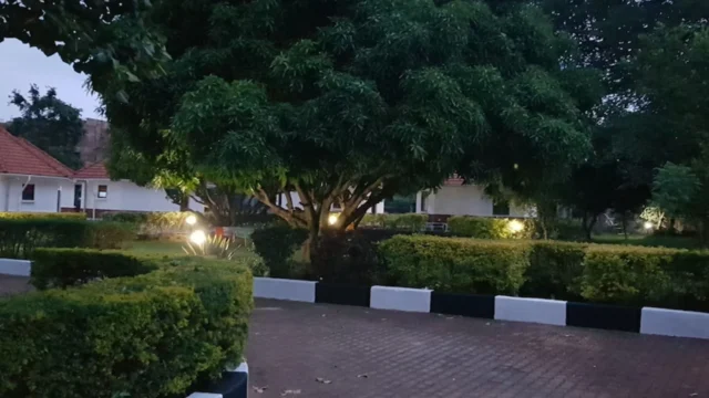 Northern Pearl Hotel (9)