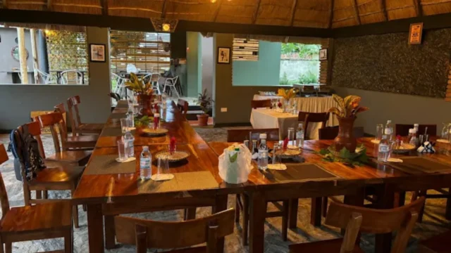 Primavera Kitchen + Cocktail Bar (5)