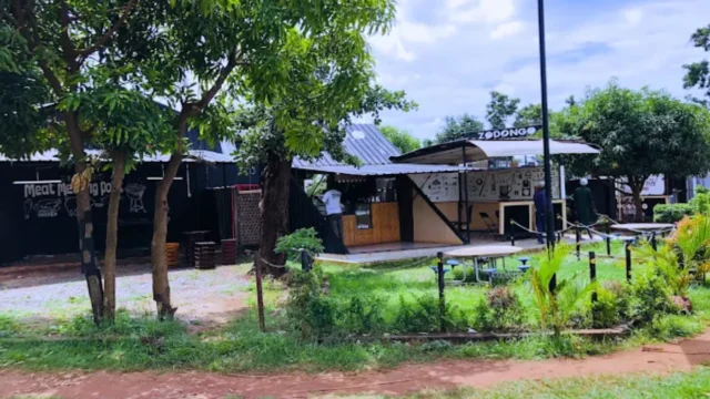 Zodongo Bar & Restaurant (5)